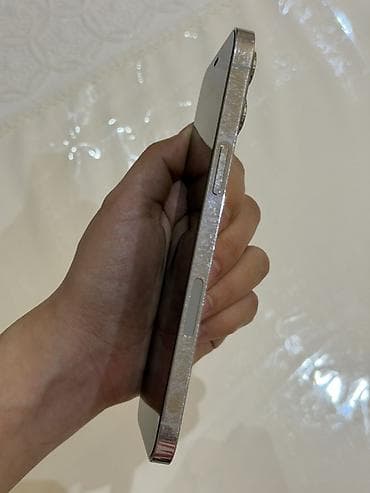 IPhone 12 Pro Max, 128 GB, Ağ