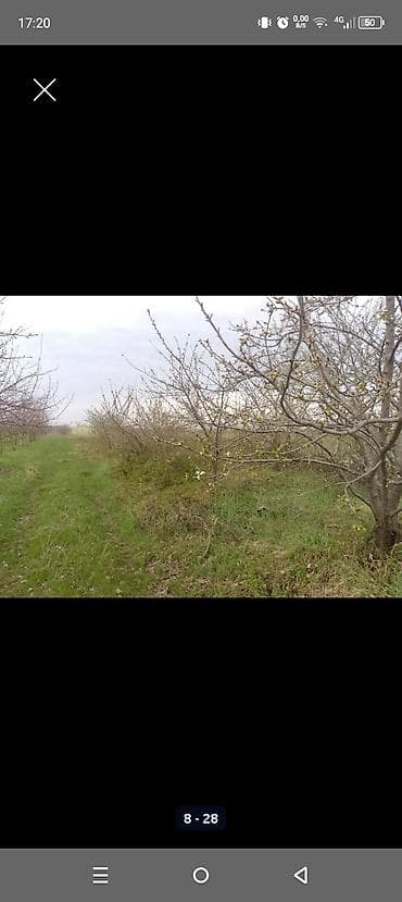 gence emlak satisi: Kənd təsərrüfatı — 7