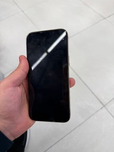 iphone dubai version: IPhone 16 Pro Max, 256 ГБ, Золотой, Гарантия, Отпечаток пальца, Беспроводная зарядка — 6