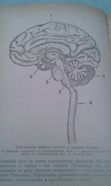преступление и наказание: Продаются разные книги о знаменитых личностях: "Иван Павлов" 1952 год — 10