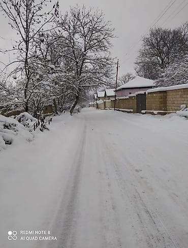 badamdarda tecili satilan evler: 48 sot, Kənd təsərrüfatı, Mülkiyyətçi, Bələdiyyə — 2