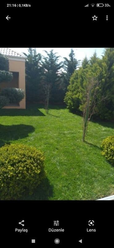 jasmin ağacı: Qazon si̇fari̇şi̇ həyət və villalar ücün yüksək kefiyətli qazon — 9