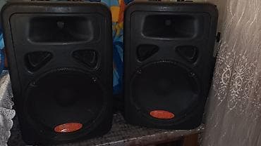 dinamik polkasi: 2 ədədin qiyməti. PS-12 passiv — 1