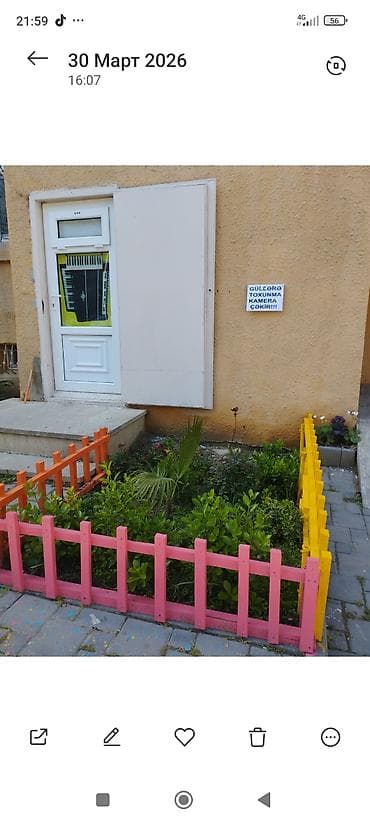 taxta qapi temiri: Xidmət: Harmoniya/Akkordeon təmiri və sazlanması Peşəkar ustadan — 2