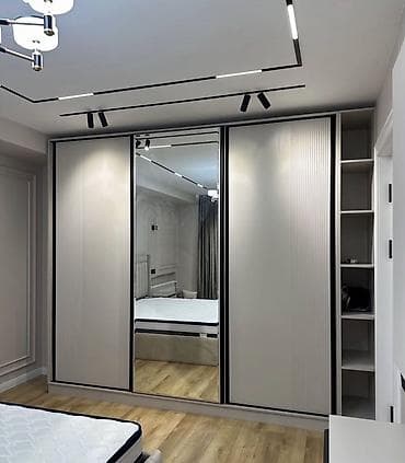 3 qapılı, Güzgülü, Boz, Digər material, Kupe, Düz dolab