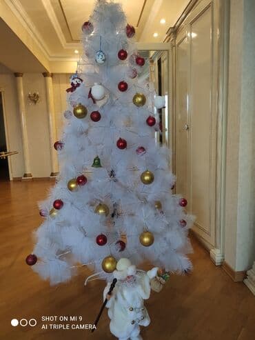 küknar ağacı: Hamısı birlikdə satılır — 1