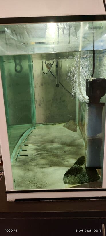 yapon balığı: Balıqlarla birlikdə, 450 l — 3