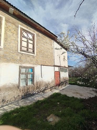 Biznes üçün — 6