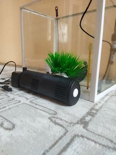 qoyun satisi 2024: Dördbucaq akvarium, Boş, 40 l, Ödənişli çatdırılma — 7