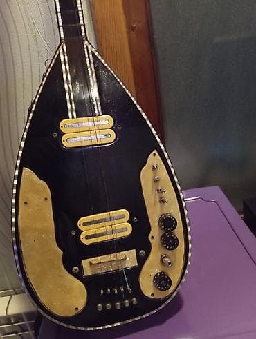 korg pa 5x pro: Elektrikləşdirilmiş saz – unikal hibrid musiqi aləti - Korpus: armud — 2