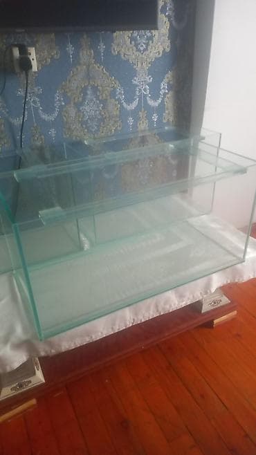 Heyvanlar: Salam 85 litrlik akvarium cəmi 40 azn akvarium təzədi istifadə — 3