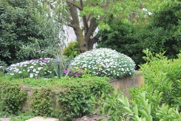 baki hovuzlu evler: Bilgəh qəs. 10 otaq, 800 kv. m, Kredit yoxdur, Orta təmir — 21