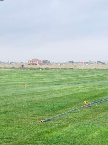 qazon sifarişi: Rulon qazon – peşəkar şəkildə becərilmiş, sıx və vahid yaşıl örtük — 1