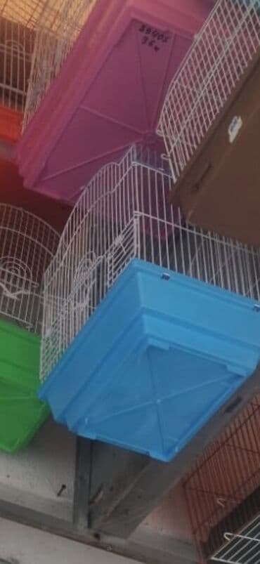 Bala Valnisti 9azn Boş qəfəs 9azn 1 bala quş +Qəfəs +Suqabı+Yemqabı lalafo.az -da Bala Valnisti 9azn Boş qəfəs 9azn 1 bala quş +Qəfəs +Suqabı+Yemqabı
