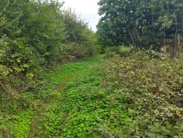 купить дом в бина: 15 соток, Для сельского хозяйства, Собственник — 1