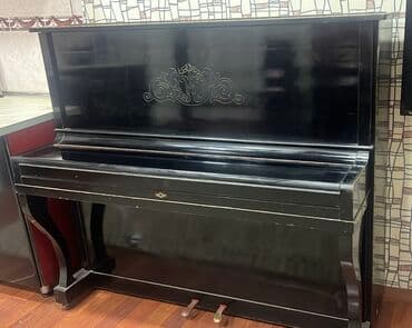 forte piyanino: Piano, Belarus, Akustik — 4