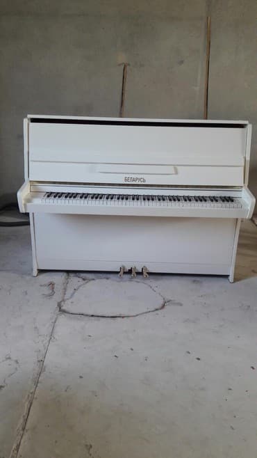 geyer пианино: Pianino Geyer Almaniya stehsalı. əla vəziyyədə. Cadirilma və köklənmə — 1