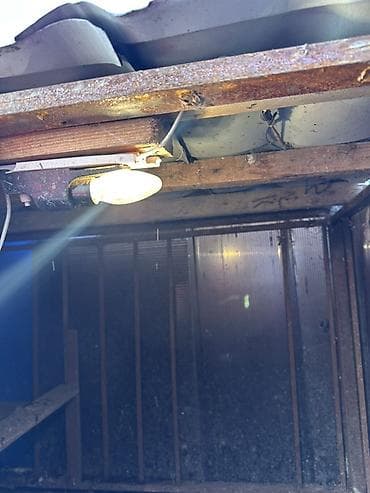 toyuq damı: Taxta toyuq/broyler kümesi - Material: taxta karkas, ön və yan — 3