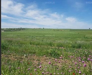 90 sot, Kənd təsərrüfatı