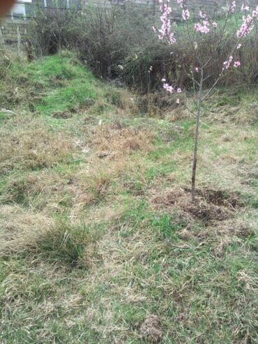 bakıda 1 otaqlı ucuz kirayə evlər: 8 otaq, 1 kv. m — 7