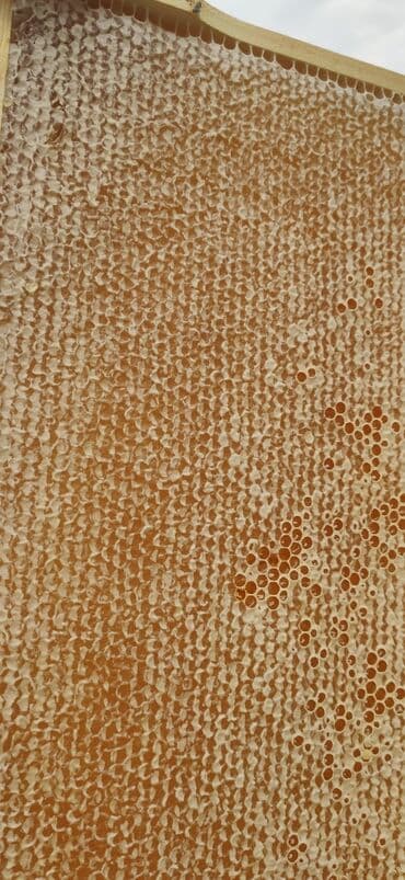 продается мед: Elf bee's 1977 eco product for health and longevity tovuzun — 4