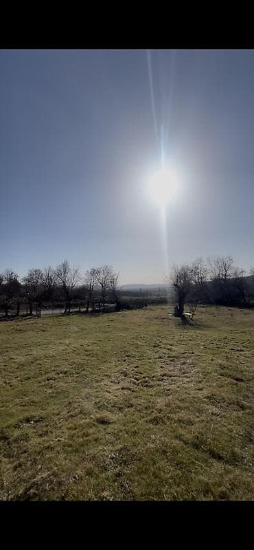 bakixanov qesebesi: 50 sot, Biznes üçün, Mülkiyyətçi — 3