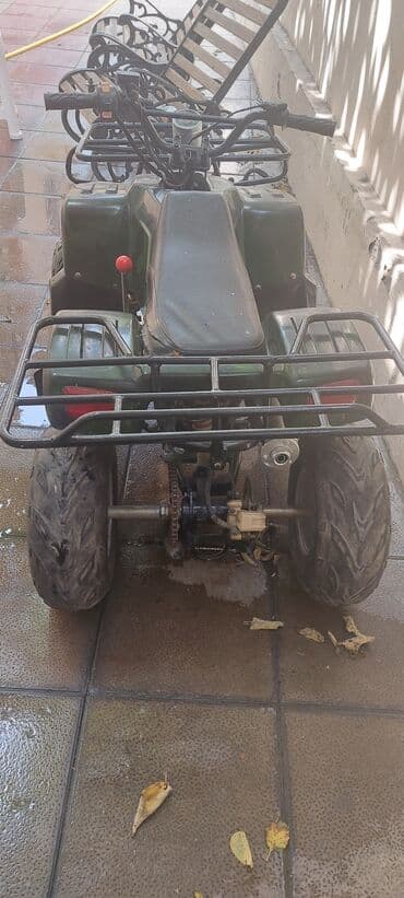 Qaşıqlar: Kvadrosikllar — 4