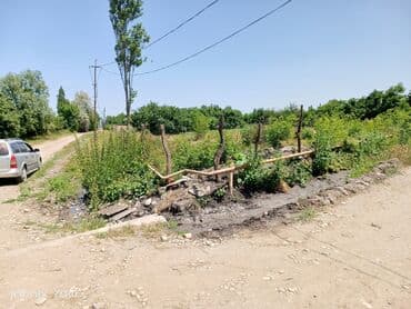 qurd qapisi kiraye evler: 13 sot, Biznes üçün, Mülkiyyətçi, Kupça (Çıxarış) — 3