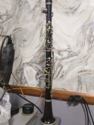 Akkordeonlar: A Klarnet əla vəziyyətdə heçbir problemi yoxdur.Kökü düzdü işlək — 2