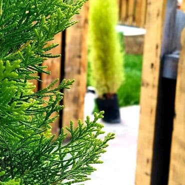 uşaqlar ucun oyun mərkəzləri: Ukrayna dairesine yaxin 5 kabinet 50 m2 zal 500 m2 heyet icareye — 13