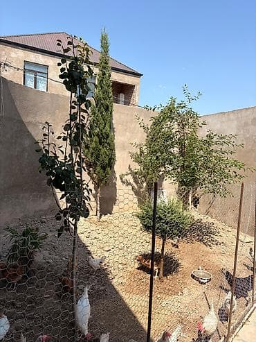 terea satışı: 5 otaqlı, 120 kv. m, Təmirsiz — 10
