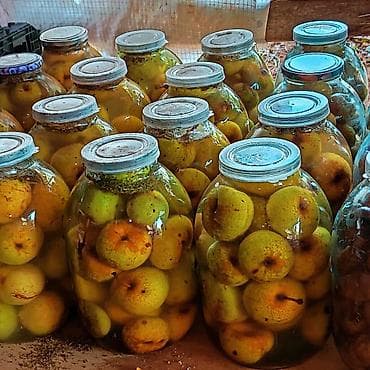 cen su: Təbii ev konservləri və bal - Qabıqlı narıncı meyvələrdən hazırlanmış — 5