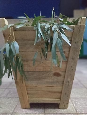 Ağacdan hazırlanmış dekorativ əkici/qutu - Material: tam ağac (taxta