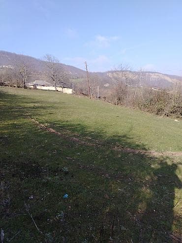 Otaqlar: 14 sot, Tikinti, Mülkiyyətçi, Kupça (Çıxarış) — 2