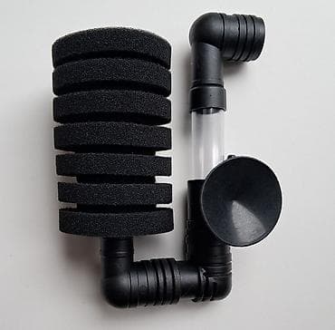 ucuz akvarium baliqlari: Akvarium aksesuarlari istifade olunub — 2