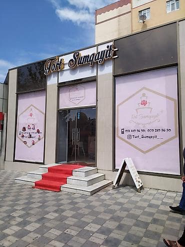 Bitkilər üçün dibçəklər: Zebra jalüz pərdə – ev və ofis üçün müasir işıq tənzimləmə həlli. - — 8