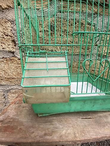qəfəs: Quş qəfəsi – metal karkaslı, yaşıl rəngdə - Material: toz boya ilə — 4