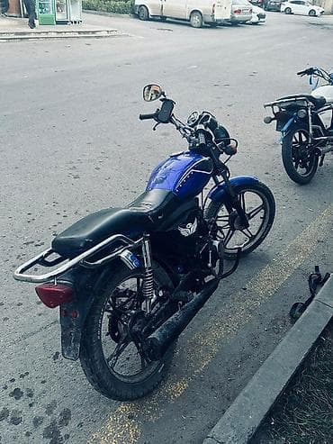 sam diskler: - Papik 100 sm3 — 1