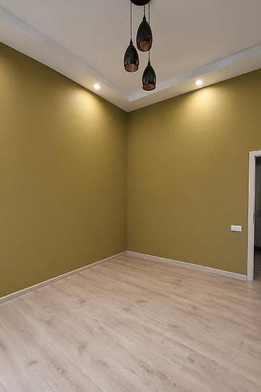 Daşınmaz əmlak: 2 otaqlı, Yeni tikili, m. Qara Qarayev, 41 kv. m — 4
