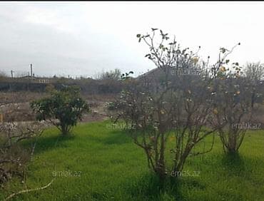 Гаражи: 12 соток, Собственник, Купчая, Техпаспорт — 1