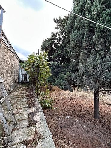 zirede torpaq: 24 sot, Tikinti, Mülkiyyətçi, Kupça (Çıxarış) — 5