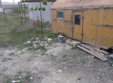 эла магазин школьной формы: 8 sot, Kənd təsərrüfatı — 4