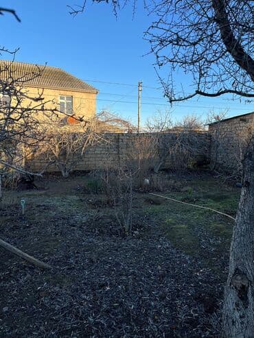 qaracuxurda torpaq satilir: 2 sot, Tikinti, Mülkiyyətçi, Bələdiyyə — 3