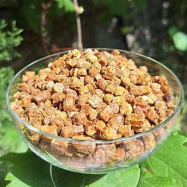 ucuz bal: Propolis, güləm, arı çörəyi (perqa) – təbii arıçılıq məhsulu Hər bir — 3
