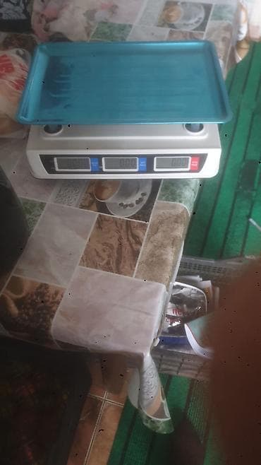 Оборудование для мойки: Wolf SCALE elektron ticarət tərəzisi - Maks. çəki: 40 kq - Min. çəki — 4