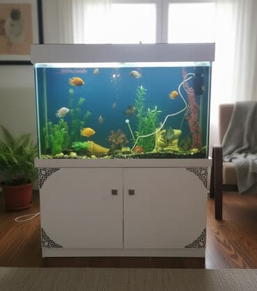 toyuq fermasi qurmaq: Akvarium-şkaf, Boş, 360 l, Ünvandan götürmə, Ödənişli çatdırılma, Rayonlara çatdırılma — 1