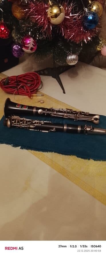 Гитары: Klarnet Ağac b Clemis mener 8metrlik Şunur kaspsullar üstündə — 3