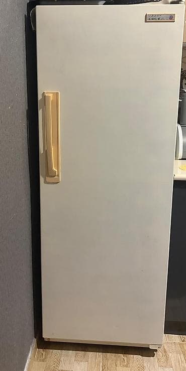 soyuducu mini: 1 qapılı Soyuducu Satılır, rəng - Bej — 2