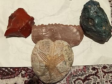 Tavan: Tarixi matiryalar daş dövrünə aid və 50 milyon illik fosil .maraxlanan — 2