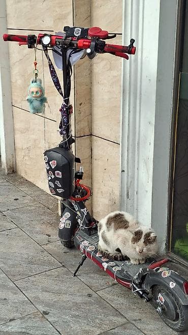 CD, DVD диски и кассеты: ST555 800W 16ah 100azn xərci var reyal alıcıynan qiymət haqqında — 1